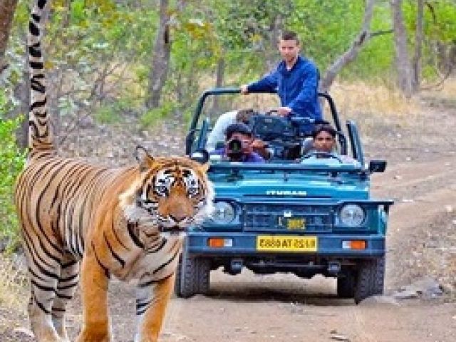 Altın Üçgen ve Ranthambore Kaplan Milli Parkı Turu 5 Gece 6 Gün
