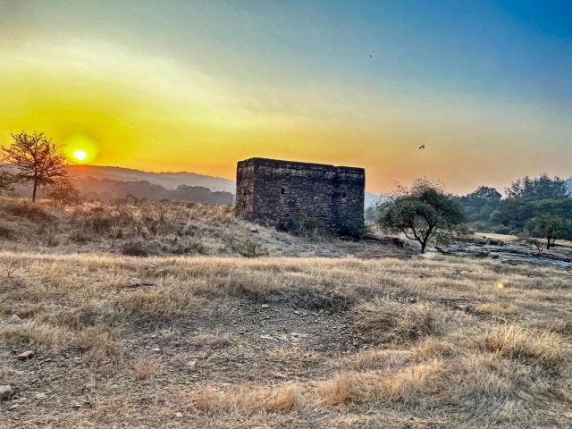 Altın Üçgen ve Ranthambore Kaplan Milli Parkı Turu 5 Gece 6 Gün